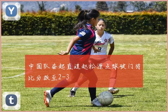 中国队奋起直追赵松源点球破门将比分扳至2-3